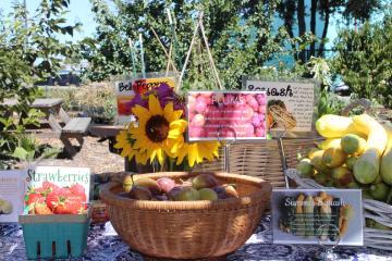 Forge Farm Stand with summer produce, including strawberries, squash, and plums.